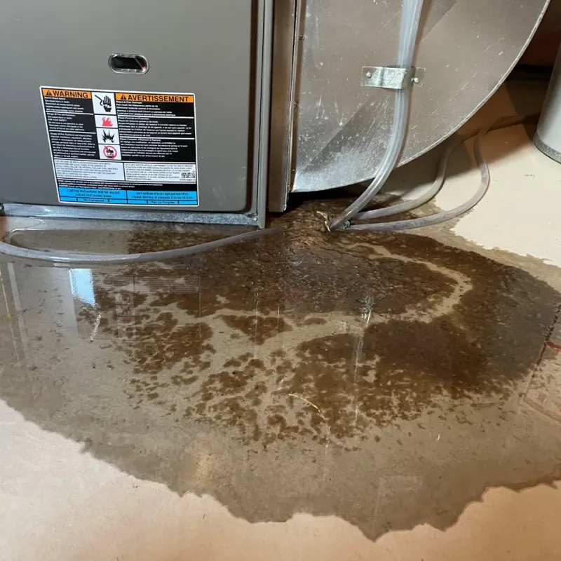 Appliance Leak Cleanup in Oakley, KS